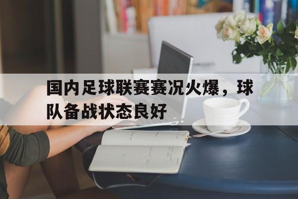 国内足球联赛赛况火爆，球队备战状态良好的简单介绍